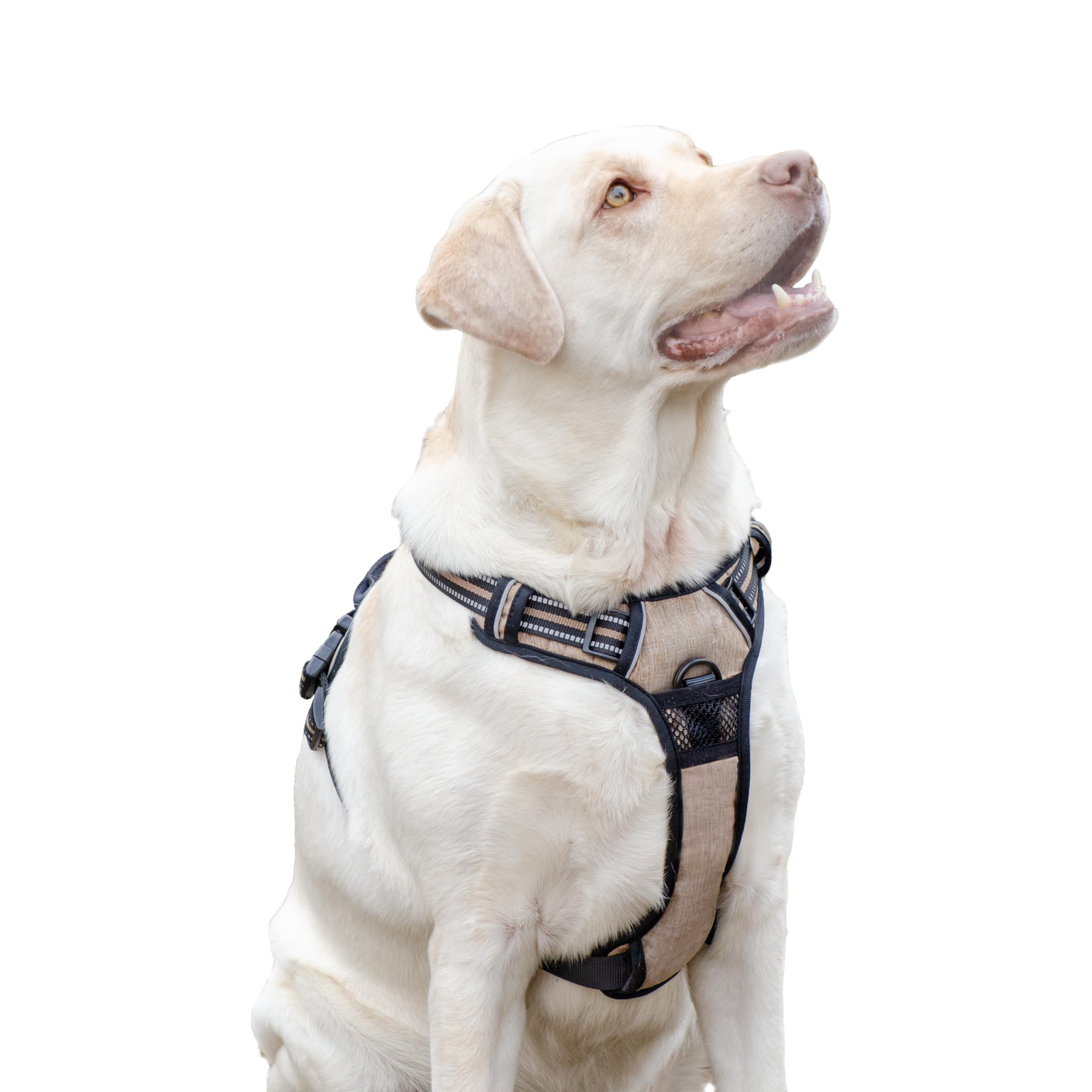 Ferplast Pettorina Cane Taglia Grande, 2 Ganci per Massimo Controllo, Anti Tiro, Pettorina Cane Regolabile, Riflettente, Traspirante, Imbracatura Cani ideale per Addestramento L, Beige