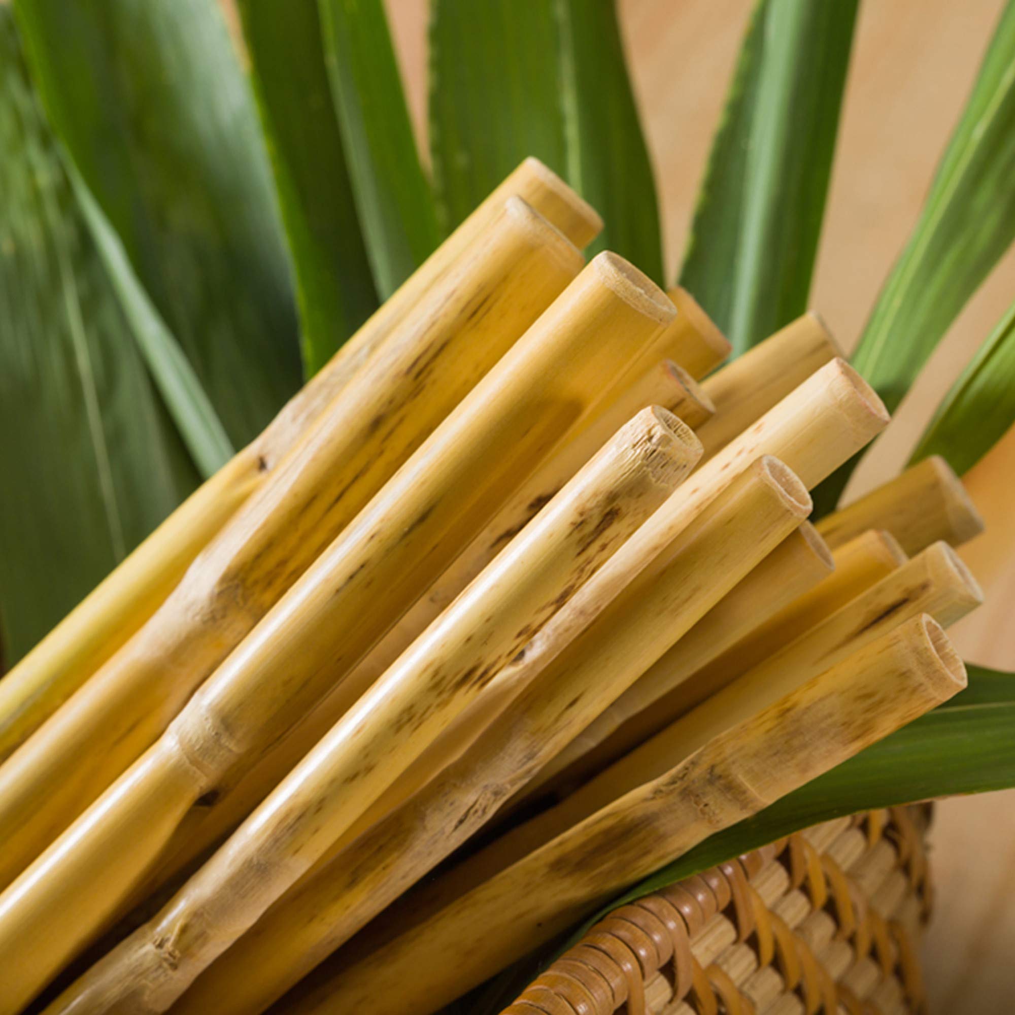 Buy Bio Earthware Natural & Bamboo Grass Straws Washable & Reusable