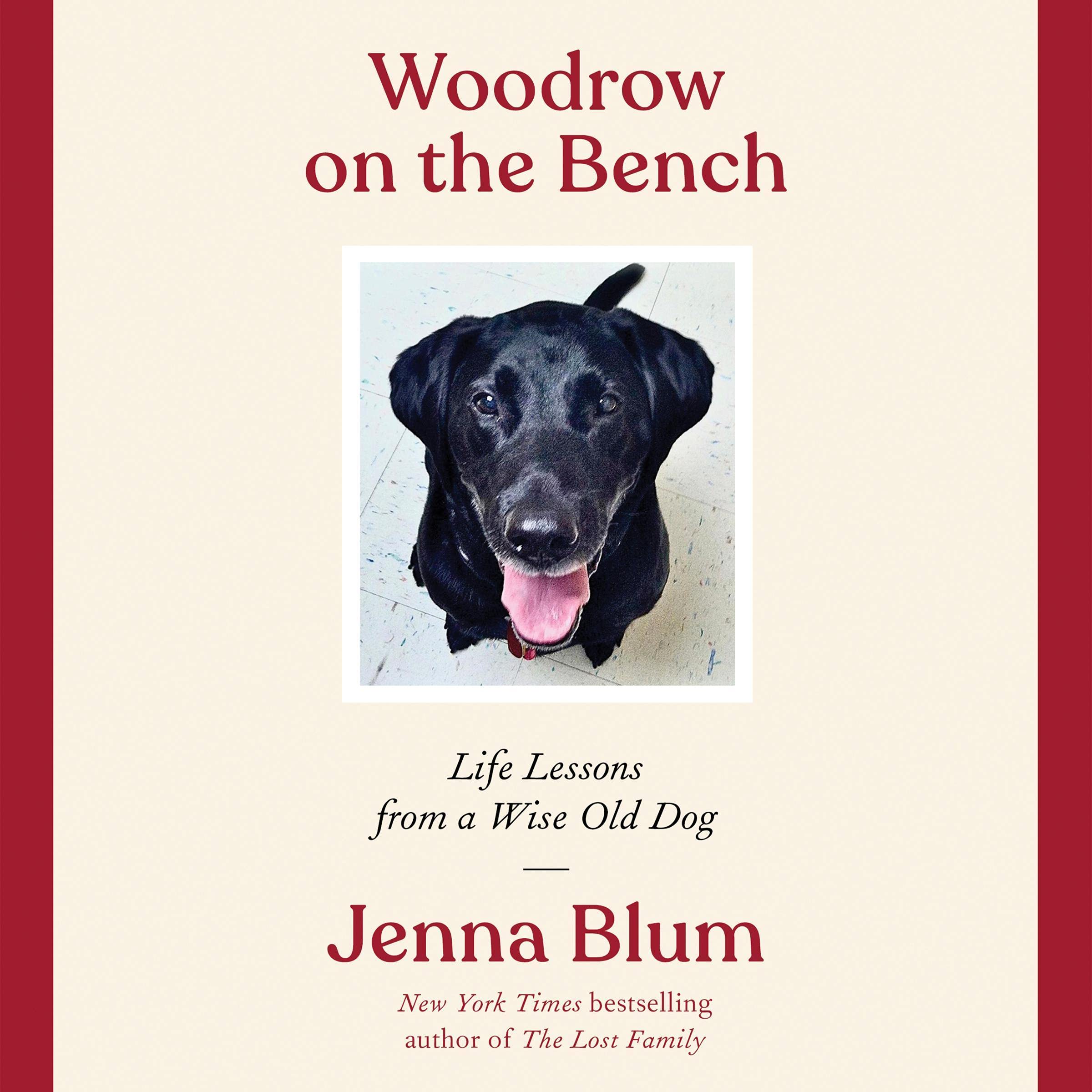 Cover art for Woodrow on the Bench