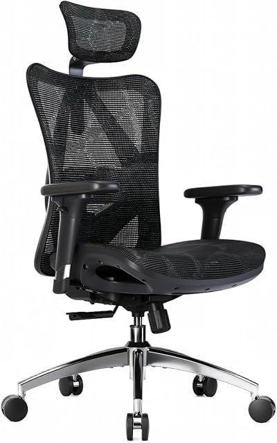 SIHOO M57 Ergonomic Office Chair, Mesh Back Desk Chair with 3D Armrests