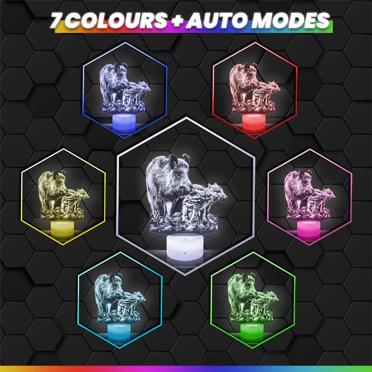 View 5