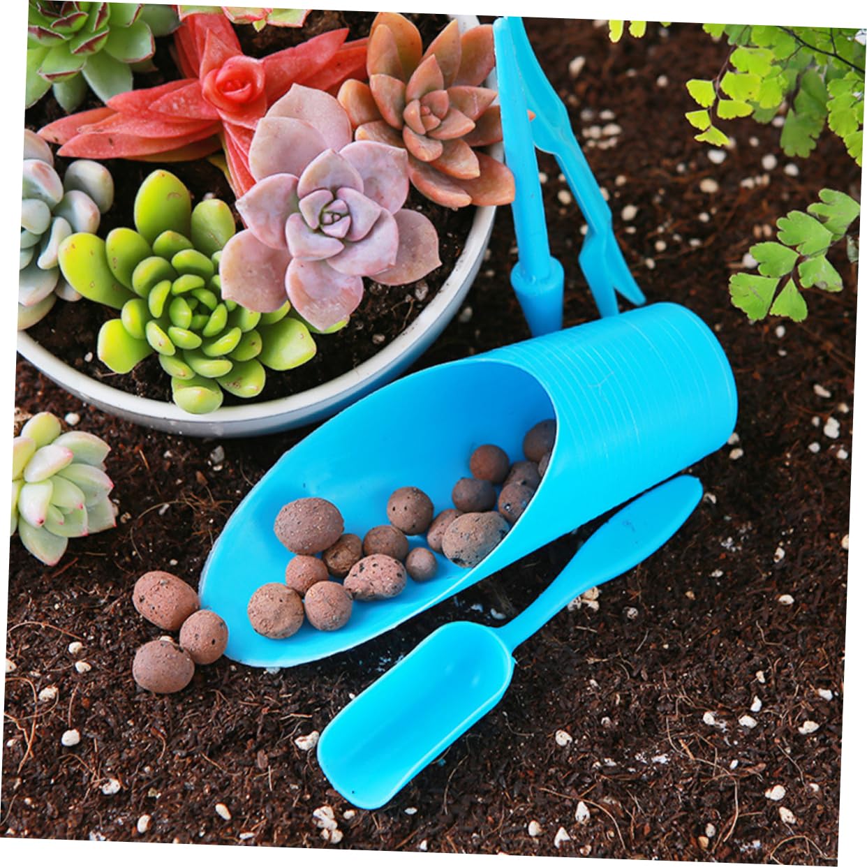 Toddmomy 4 Sätze Teiliges Garten Schaufel Für Topfpflanzen Kunststoff Bodenschaufel Ergonomisch Leicht Und Langlebig Für Sukkulenten Und Gartenarbeit 5 Stücke * 4