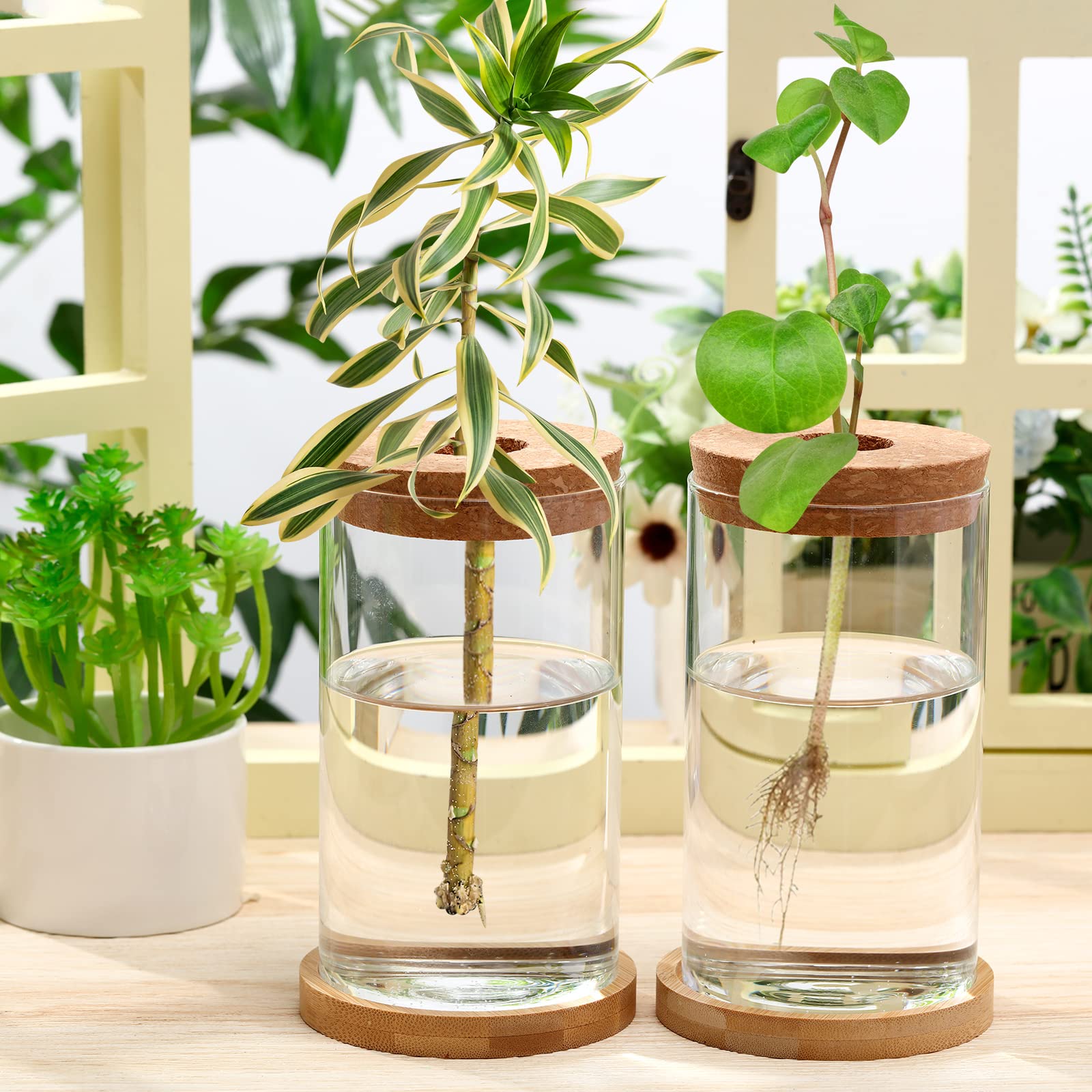 6 Pcs Plant Terrarium Desktop Glass Planter Plant Propagation Tabletop Propagation Vase Containers with Cork and Wooden Saucer for Growing Hydroponic Plants Garden Home Office Decor (2.56 x 4 Inch)