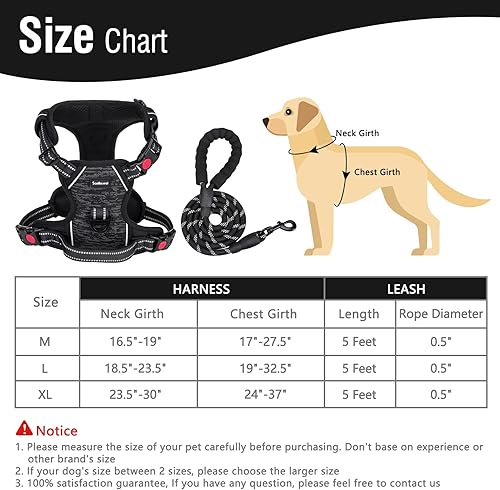 Miniatura 2 de SCENEREAL Arnés y correa para perro sin tirones chaleco reflectante ajustable y acolchado suave de 360 con correa resistente de 5 pies para perro y