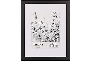 16"x20" Black Picture Frame, Double Mat for Gallery Wall Display