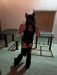 Review Image by Meowstopheles