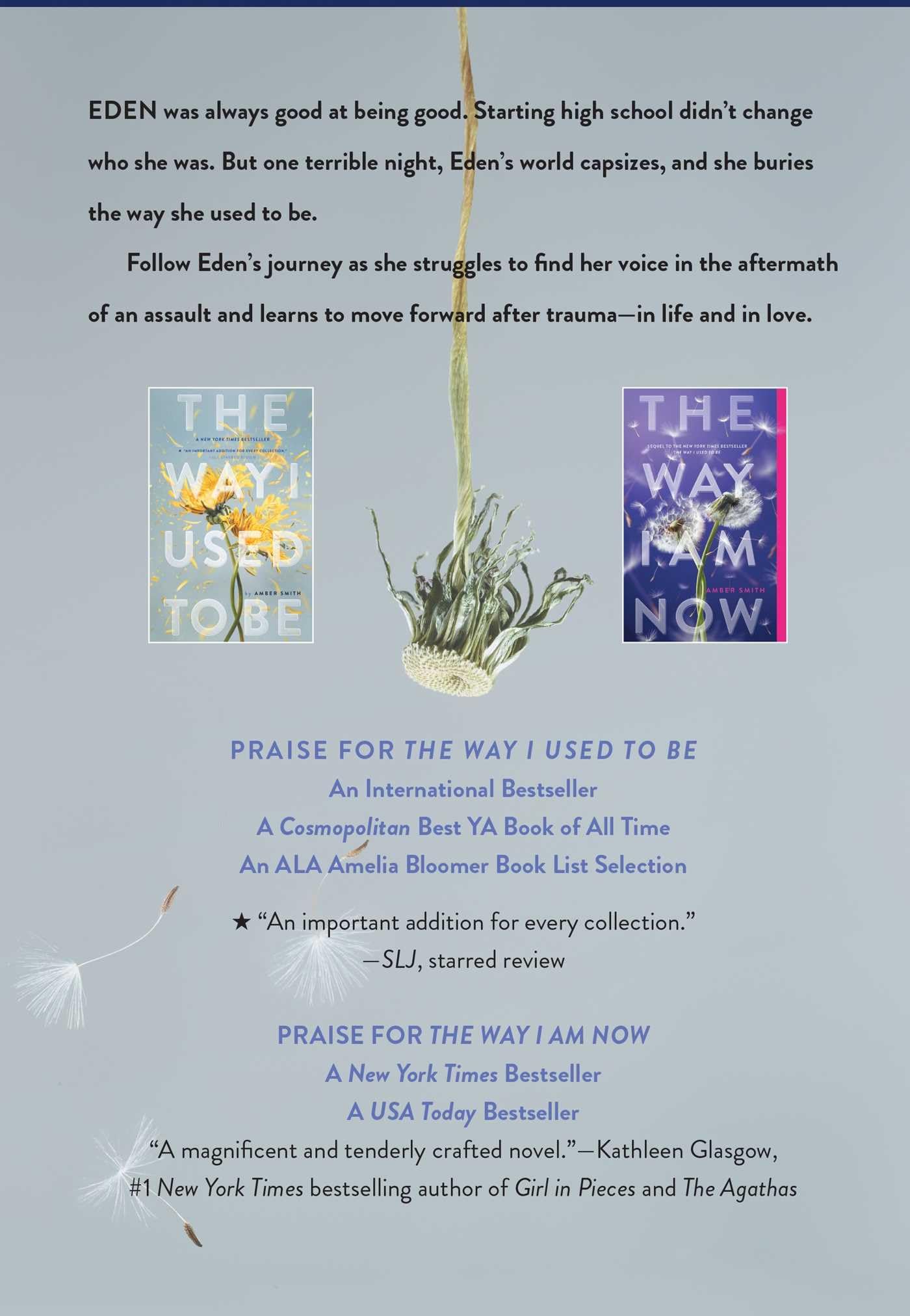 The Way I Used to Be Paperback Collection (Boxed Set): The Way I Used to Be; The Way I Am Now