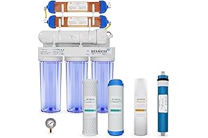 Max Water 6 Stage RO / RO DI System