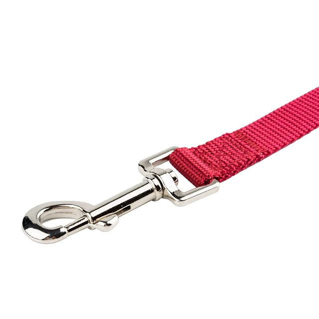 Foto 4 de 8 de Yudote - Correa de nailon para perro, fácil de limpiar, suave y ligera para caminar diario con cachorros…