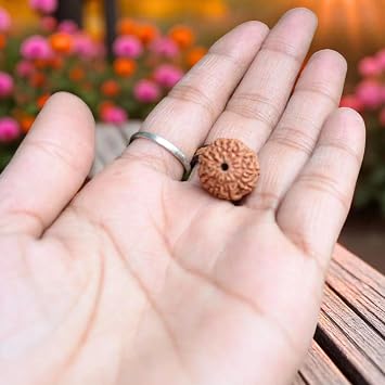 9 Mukhi Rudraksha Beads from Nepal Lab Certified Nine Face Rudraksha for Spiritual Growth, Energy & Protection Original Nepali Rudraksha for Chakra & Meditation