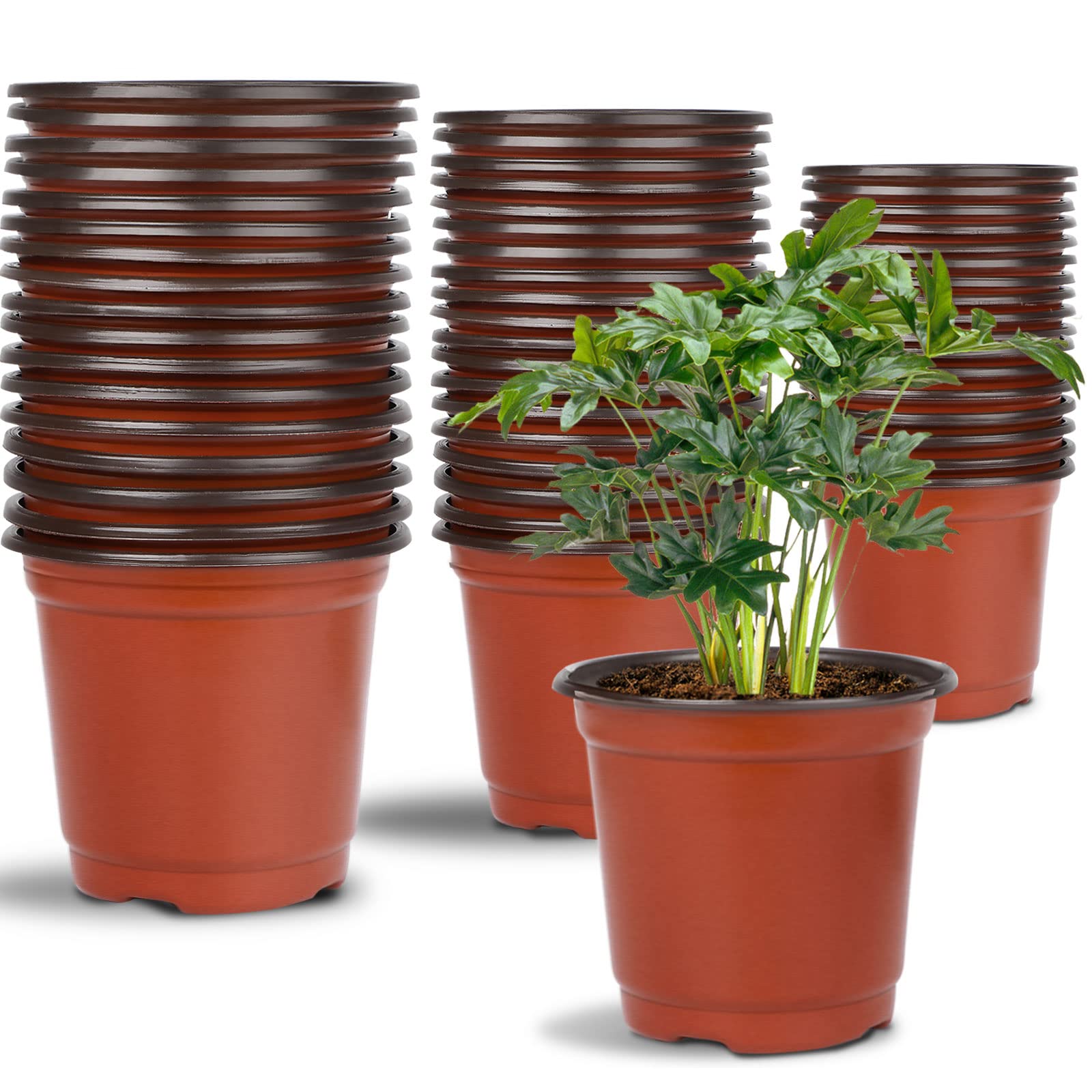 Augshy Doniczka do przedszkola, 75 szt. 10 cm, 15 cm, 15 cm, plastikowe doniczki początkowe do przesadzania sadzonek sukulentów, czerwona