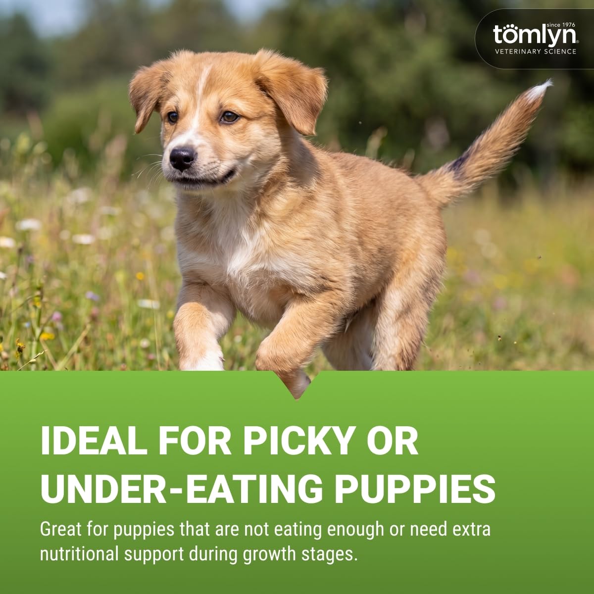 Tomlyn Nutri-Cal, High-Calorie Gel for Puppies, 4.25 oz — Amazon image 4