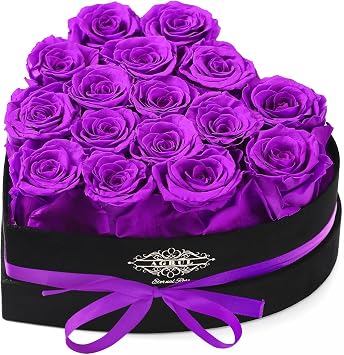 Agrul Mothers Day Roses Gifts for Mom,Forever Preserved Flowers Roses in a Heart Shape Box, for Wife Women Mom Grandma from Daughter,Fresh Flowers for Delivery/16Pcs Purple
