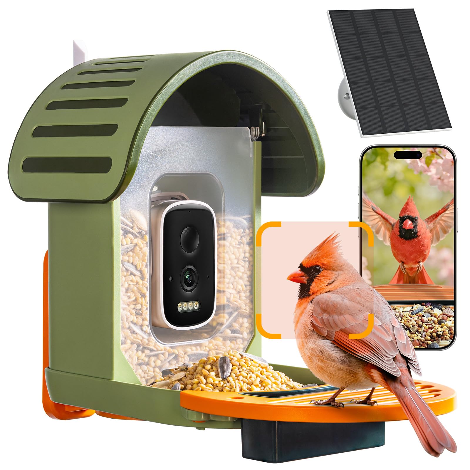 2.5K Solar Bird Feeder