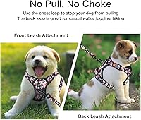 Vista 65 de Petmolico - Juego de arnés para perro sin tirones, 2 correas de sujeción con asa de fácil control, chaleco reflectante para razas pequeñas, arnés