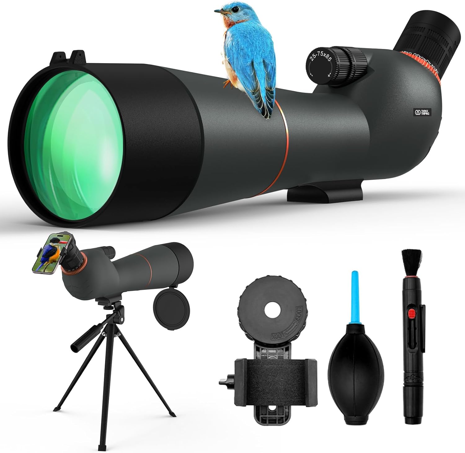 Spotting Scope 25-75×85 - Dual Focusing Spotter Scope, with Tripod & Phone Adapter, Ideal for Bird Watching & Wildlife Observing