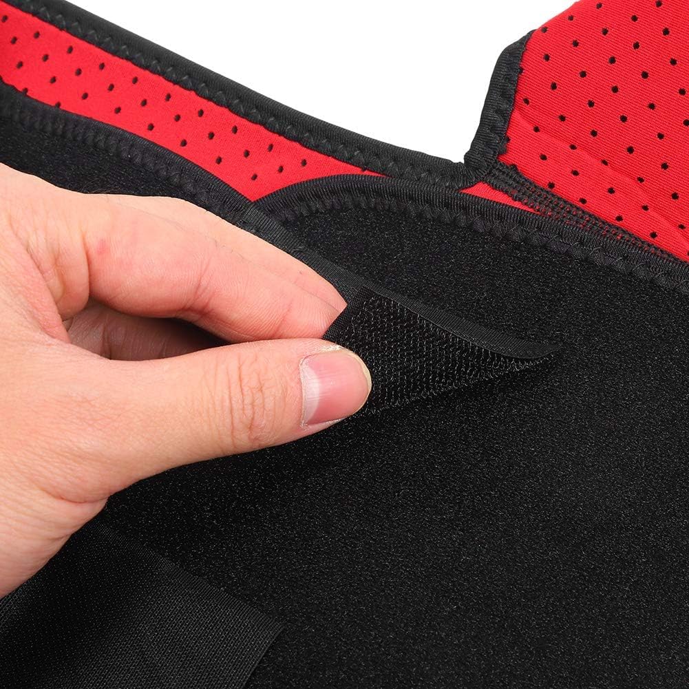 AILISK Sofelaofficiel Ceinture OrthoActive™ Sofela(1 article)