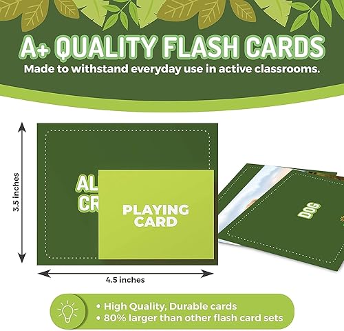 Miniatura 2 de 100 tarjetas flash de animales, insectos y criaturas oceánicas, imágenes realistas para aprendizaje divertido y constructor de vocabulario educativo