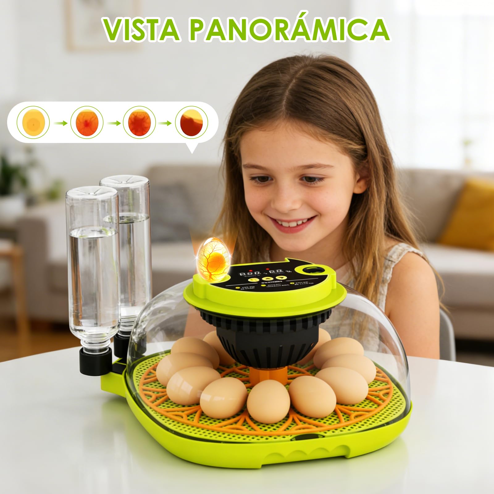 Incubadora Huevos Gallina, Incubadora Automatica para 12 Huevos Volteo Automático de Huevos, Control de Temperatura y Humedad, Adecuado para la Incubación de Huevos de Gallina, Pato, Ganso