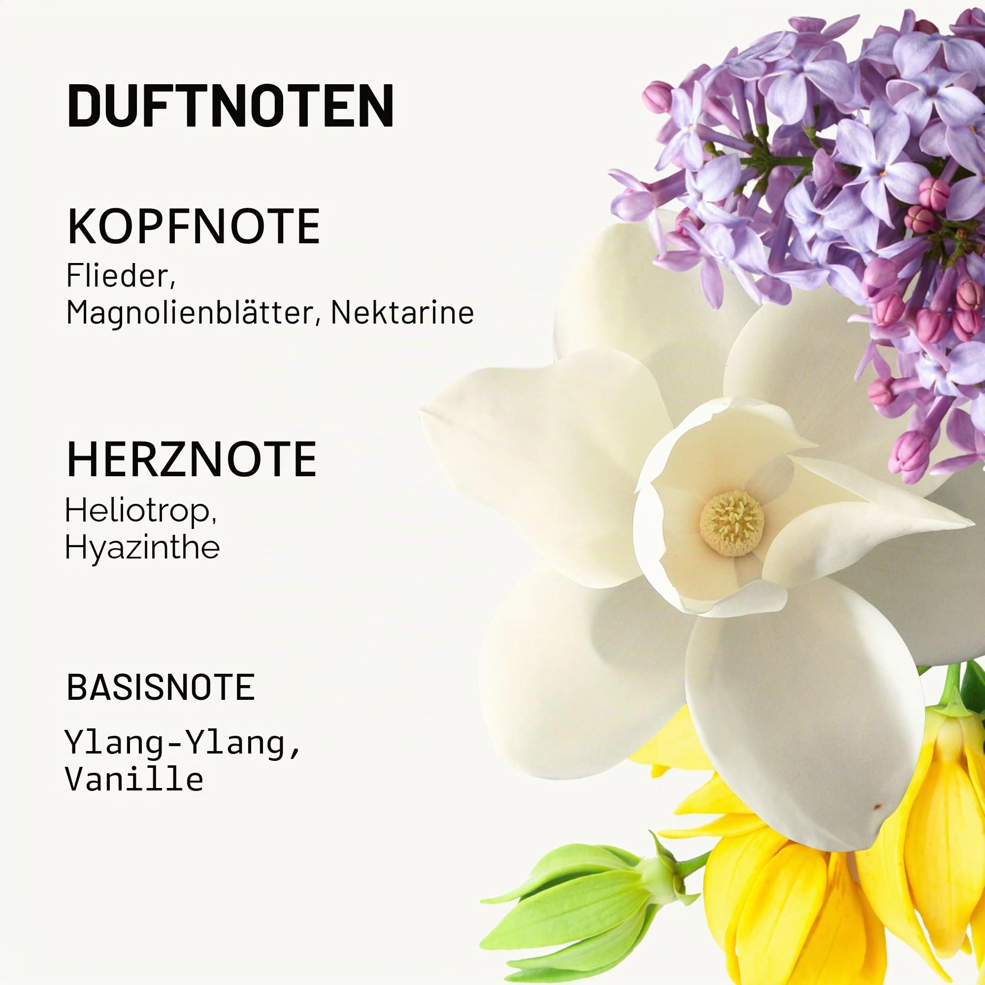 Pacifica Parfümierter Haar- und Körpernebel, französisches Lila, für Damen, 170 ml