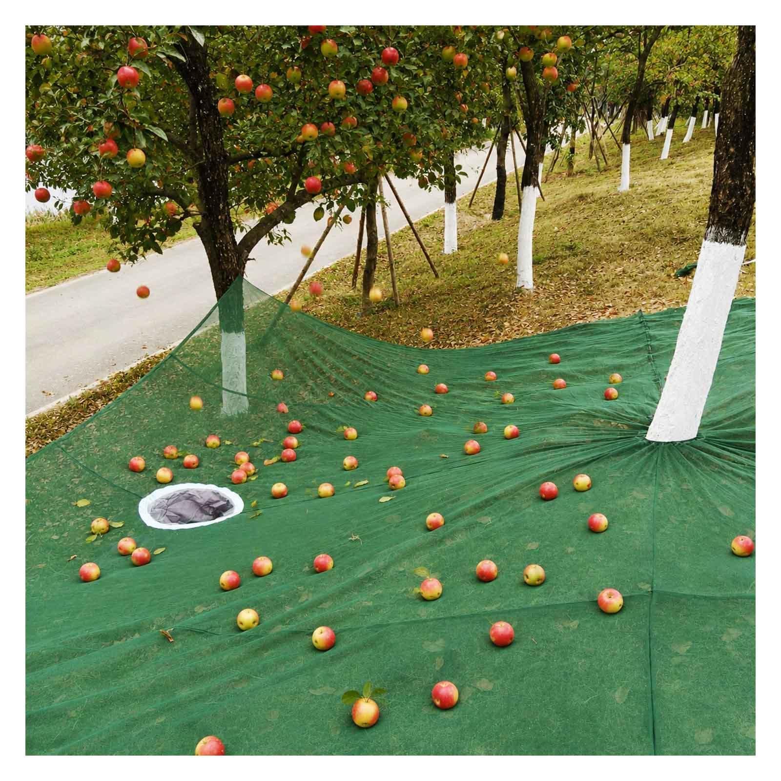 ZaiZaiSMao Fruits Harvest Collecting Netting - Heavy Duty Hdpe Fruit Harvesting Net Under Tree, Reusable with Fruit Export Hoop for Olive, Walnut, Apple, Pecan,Green-20×20ft（6 * 6m）