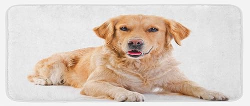 Ambesonne Golden Retriever Kitchen Mat, Young Pedigree Puppy Laying Over White Background Dog, Plush Decorative Kitchen Mat with Non Slip Backing,