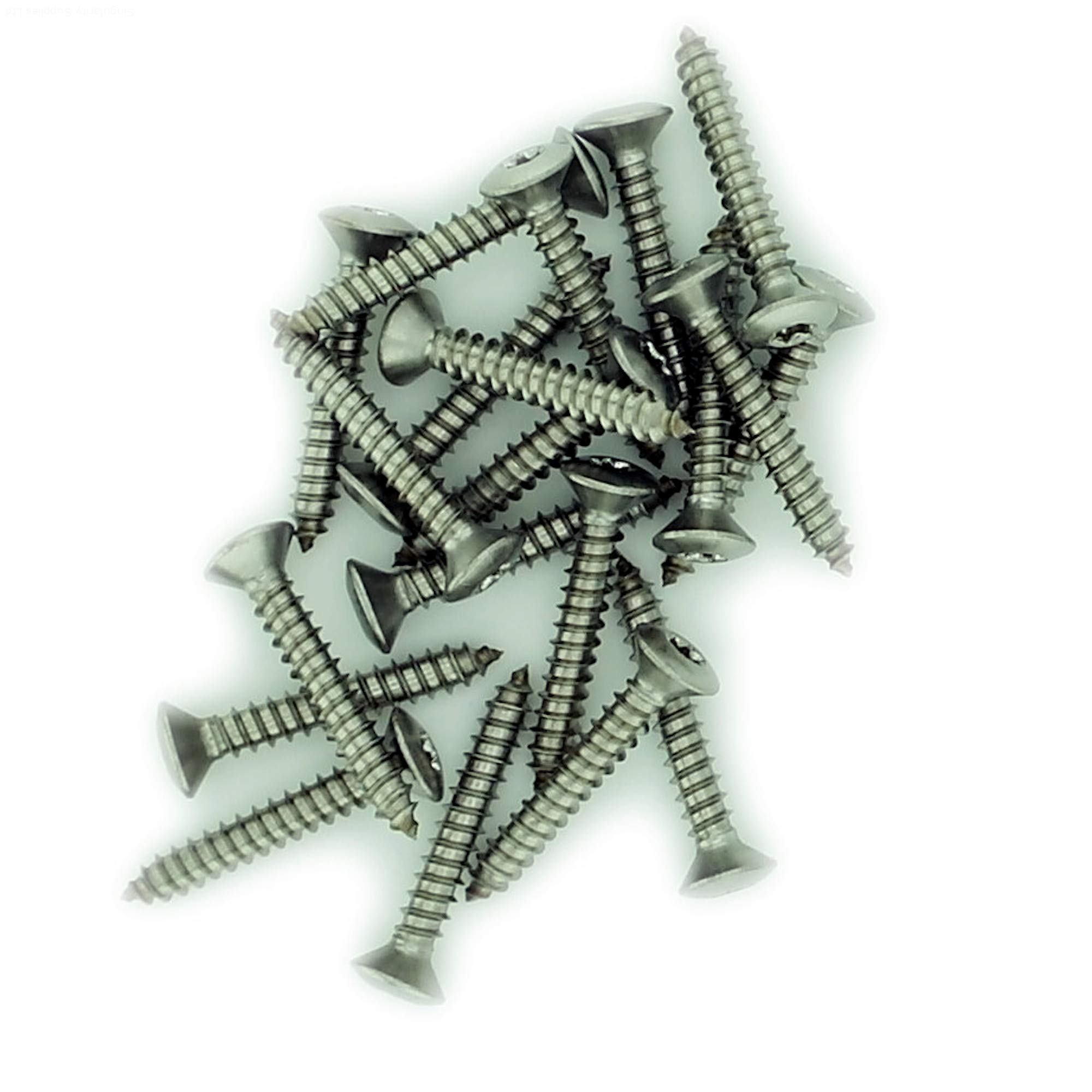 Singularity Supplies Silver No.10 X 1.5 (4.8Mm X 38Mm) Tx Raised Countersunk Self-Tapping Screw - Stainless Steel (A2) (Pack Of 20)