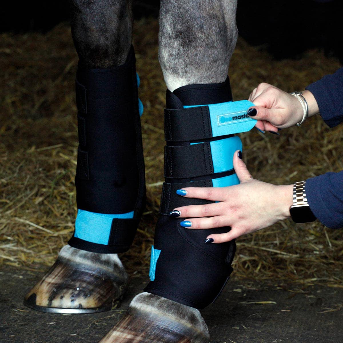 Masta Ice Therapy Horse Boots
