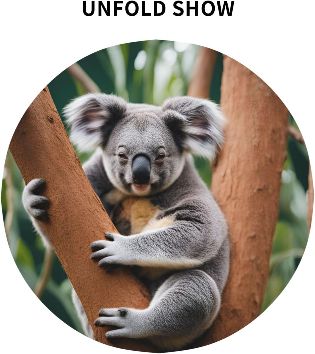 Hugging Tree Koala Print Wrinkle Free Dining Table Cover for Birthday Party Farmhouse Tablecloths Up to 60 x 60 Inches