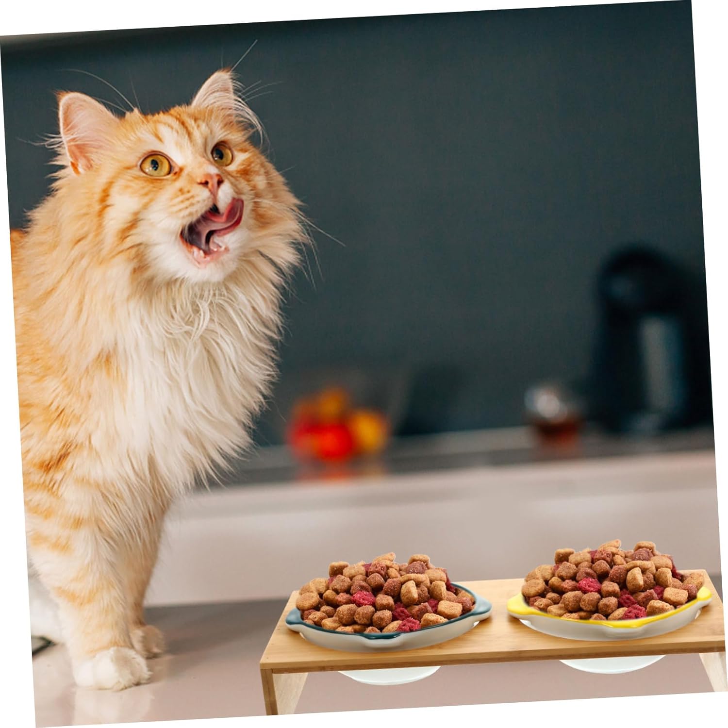 YARNOW Elevate Cat Feeder Bamboo Stand Pet Feeder Ceramic Double Bowls Water Bowl