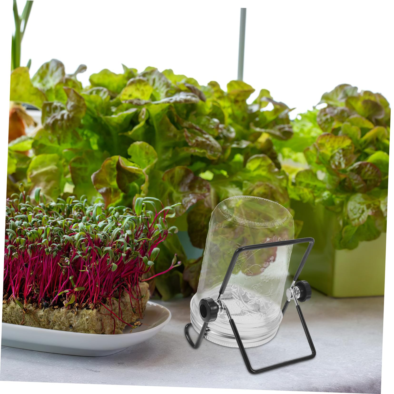 2 Juegos Kit de Germinación con Tapas y Coladores de Acero Inoxidable para Frascos Mason de Soporte para Brotes y Microverduras Casa y Fiestas