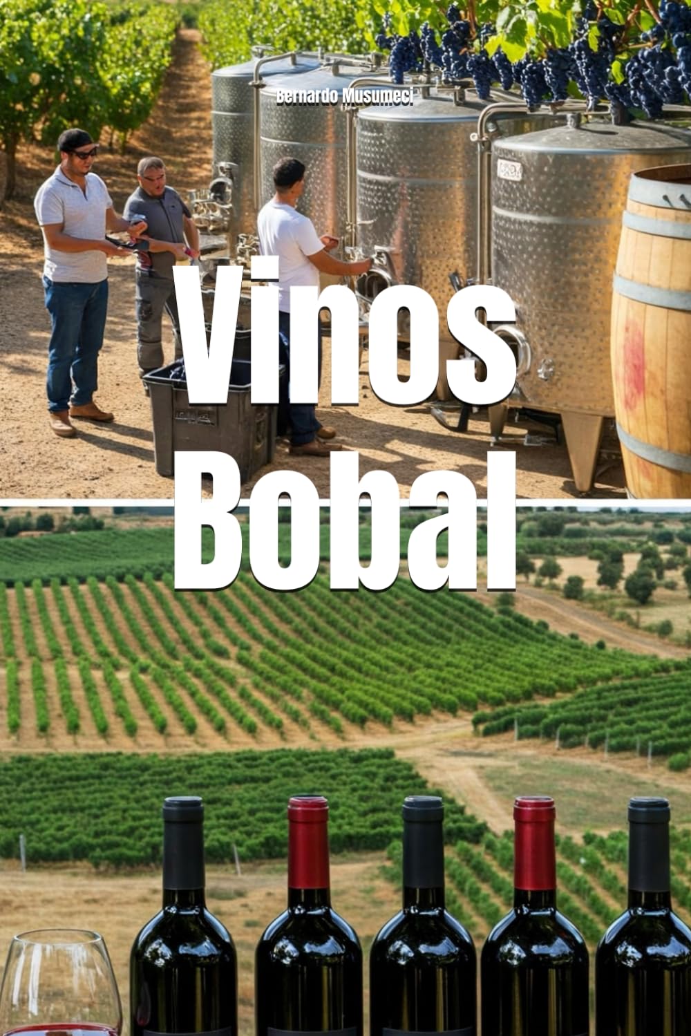 Vinos Bobal (Wines of the World: Spain)