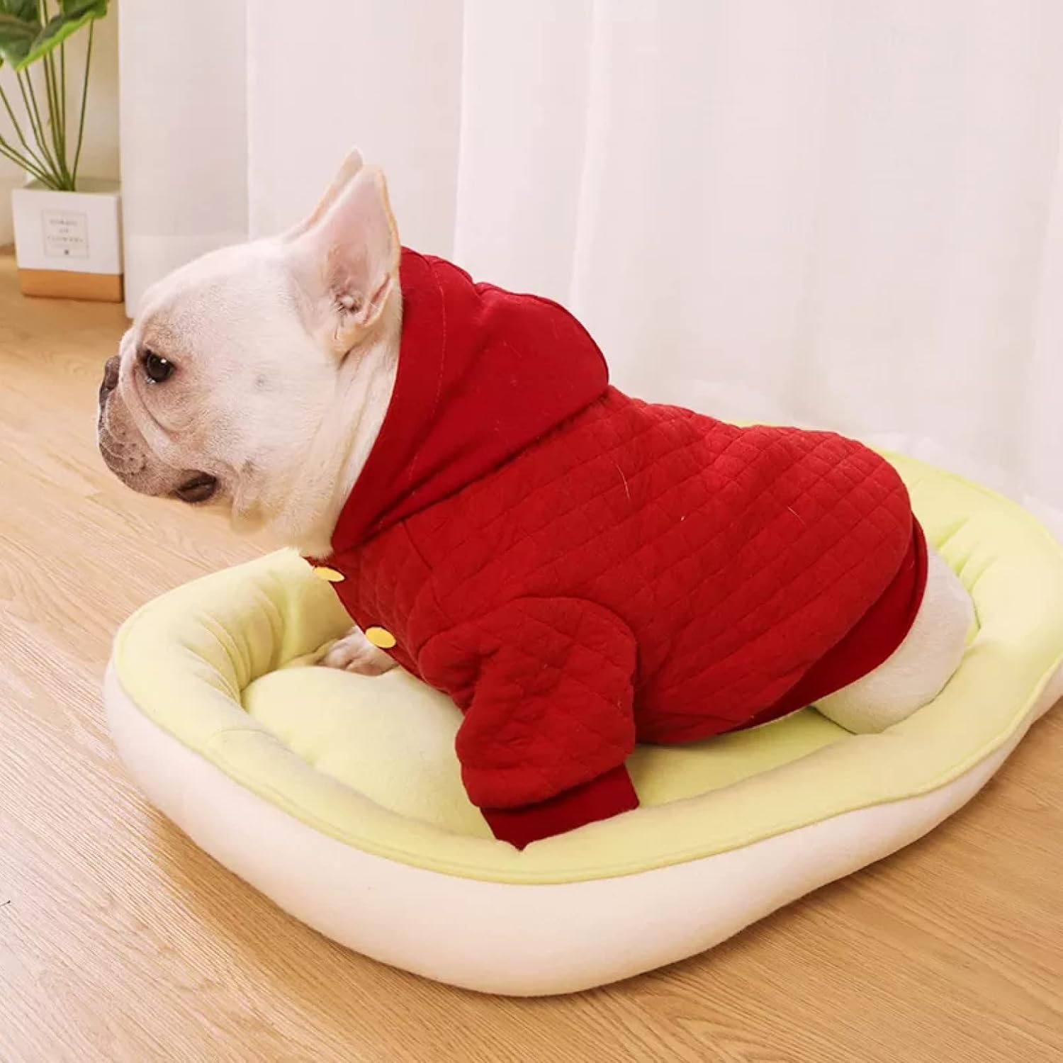 pomeranian clothes amazon