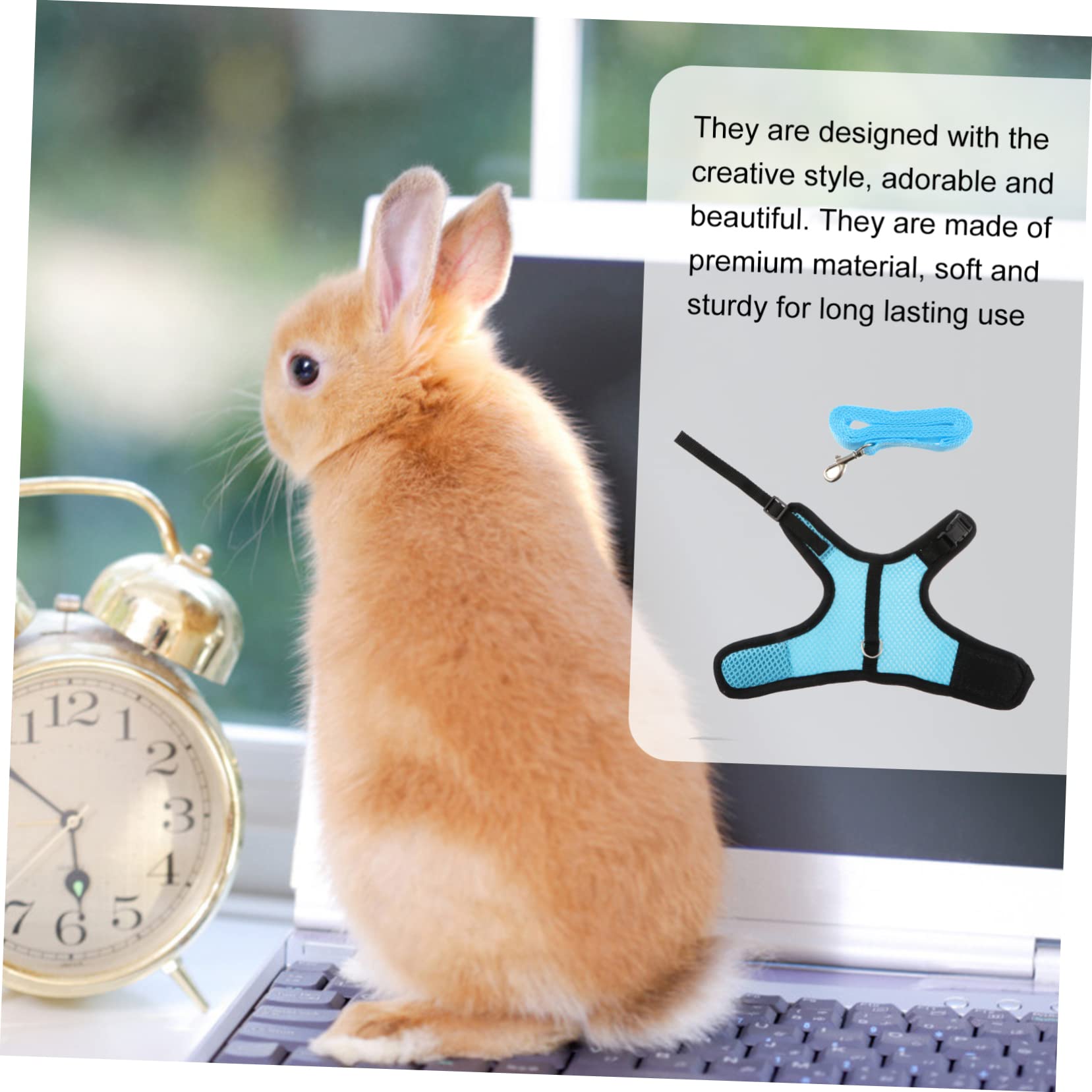 INOOMP 2 Pz guinzaglio di cavia slip di coniglio per bambini furetto imbracature per criceti bunny rabbit guinzaglio per piccoli animali pettorina per coniglio con rete