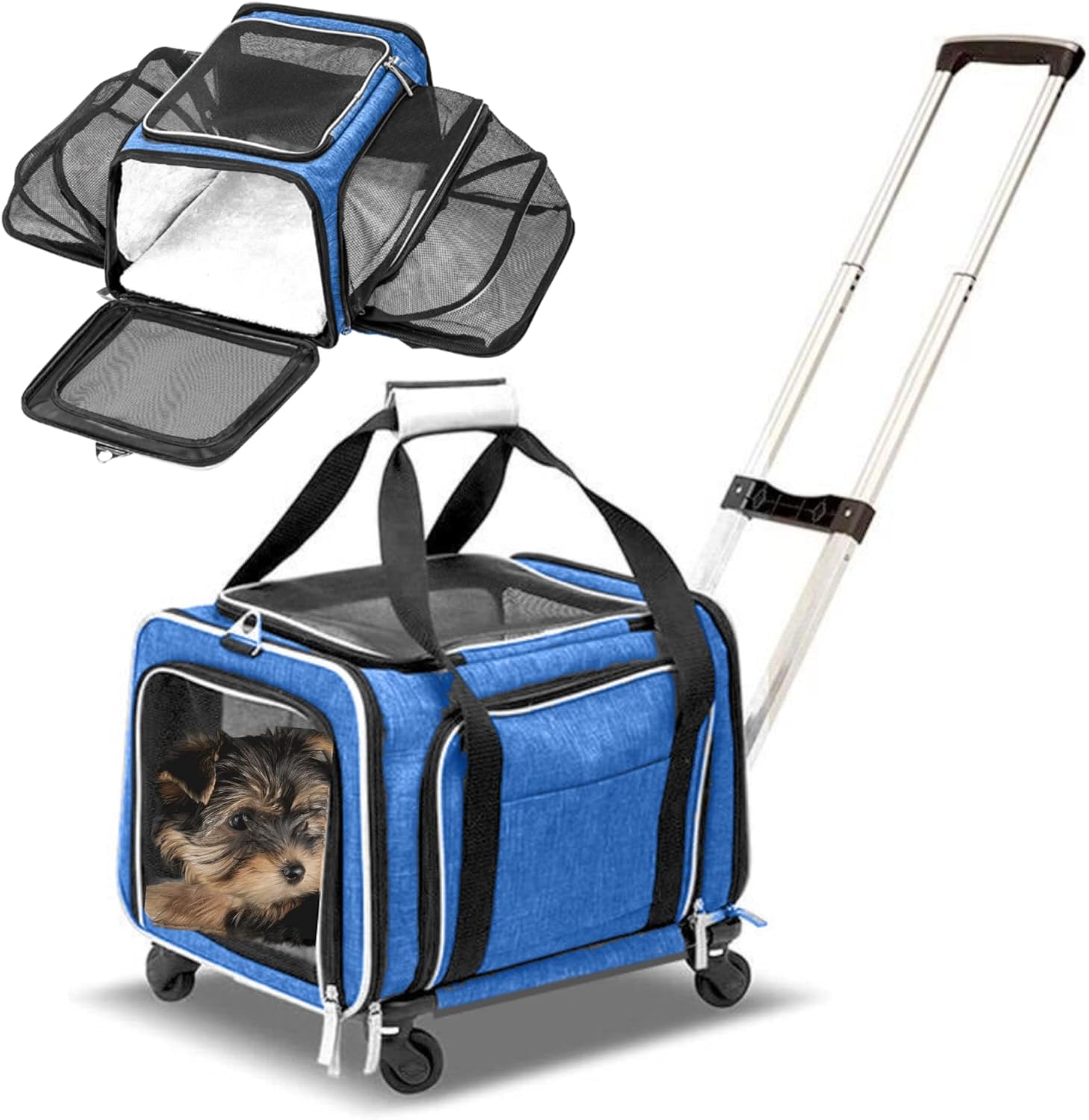 Airline Approved Expandable Pet Carrier on Wheels (Blue)