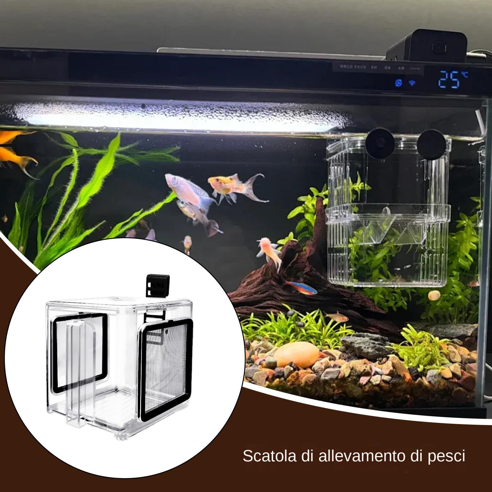 Aufzuchtbox für Fische | Aquarium Zuchtbehälter Acryl | Transparente Trennkammer für die Zucht | Inkubatoreinsatz für Garnelen, Guppys, Jungfische, Zubehör