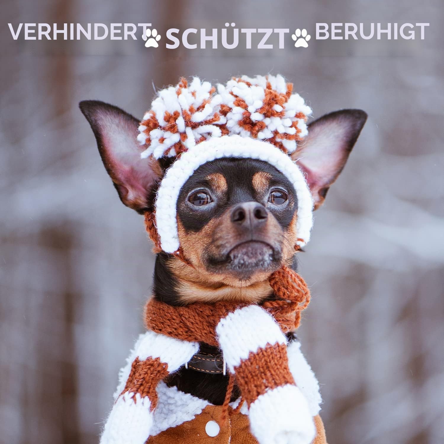 Musher's Secret Pfotenbalsam für Hunde 454g, Natürliches Pfotenschutz-Wachs Großpackung, Ganzjährige Pfotenpflege mit Vitamin E