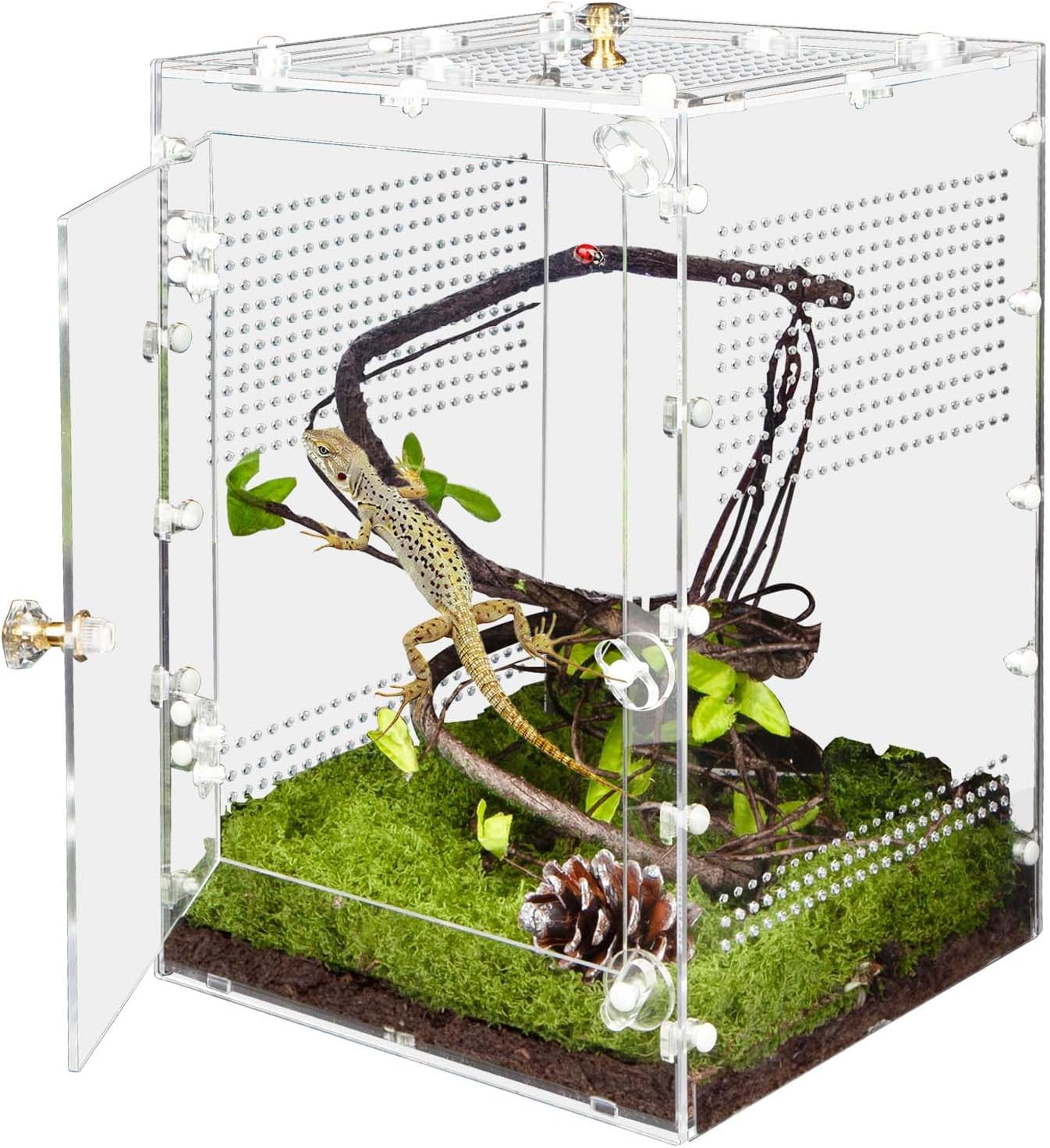 Reptile Enclosure 10 Gallon for Crested Gecko, Lizard, Bearded Dragon, Snakes?Frogs, Large Spiders, Acrylic Reptile Tank Feeding Terrarium with Front & Top Opening Doors and Vent Holes - 12"*12"*18" X Large-18''x12''x12''