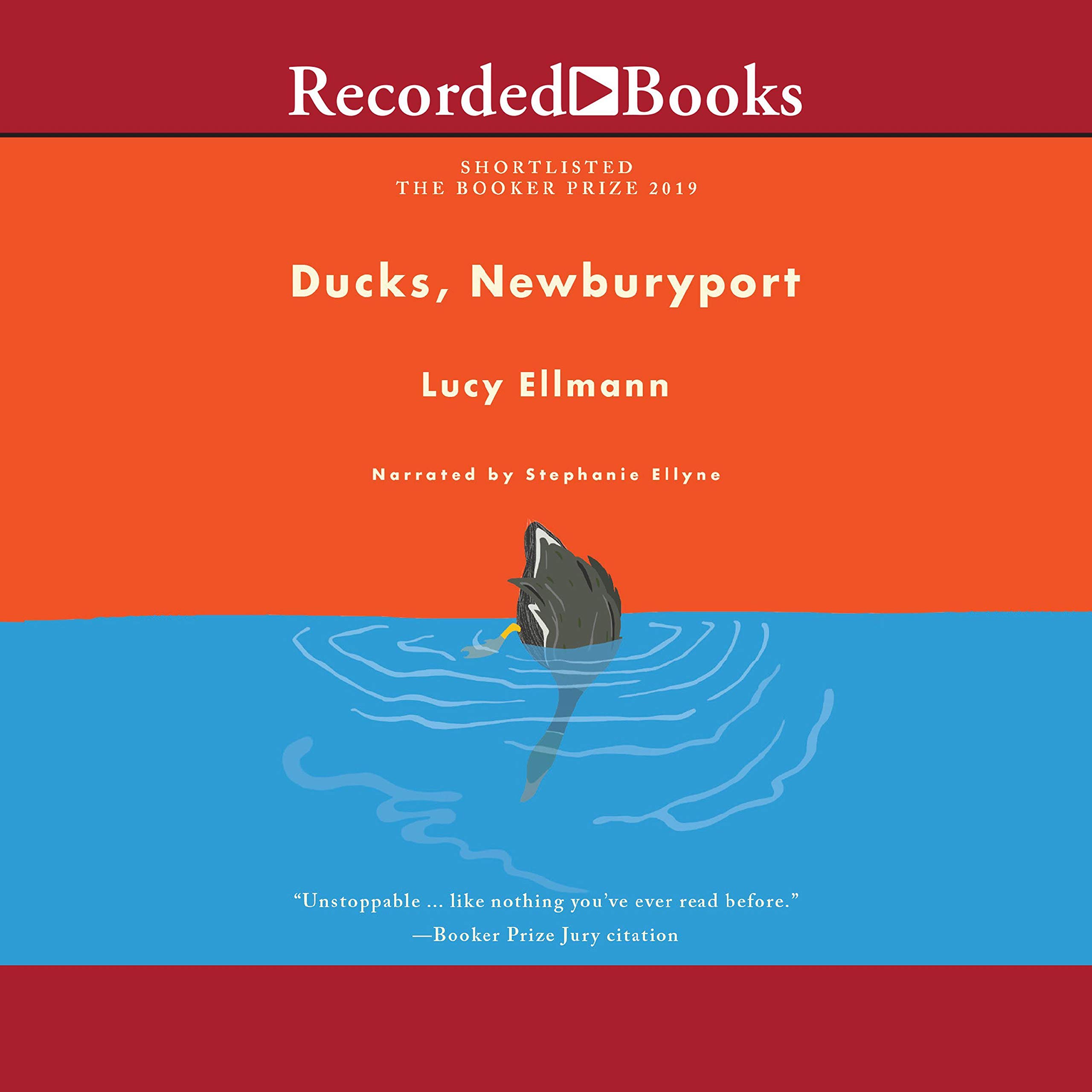 Cover art for Ducks, Newburyport