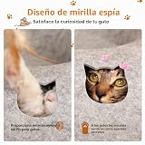 Ver la foto 5