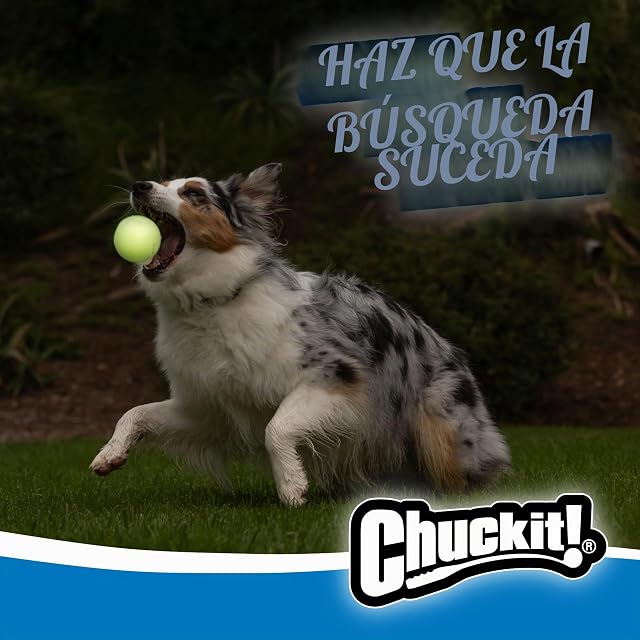 Foto 3 de 8 de Chuckit CU31318 Lanceur Pro MAX Glow, 25 m
