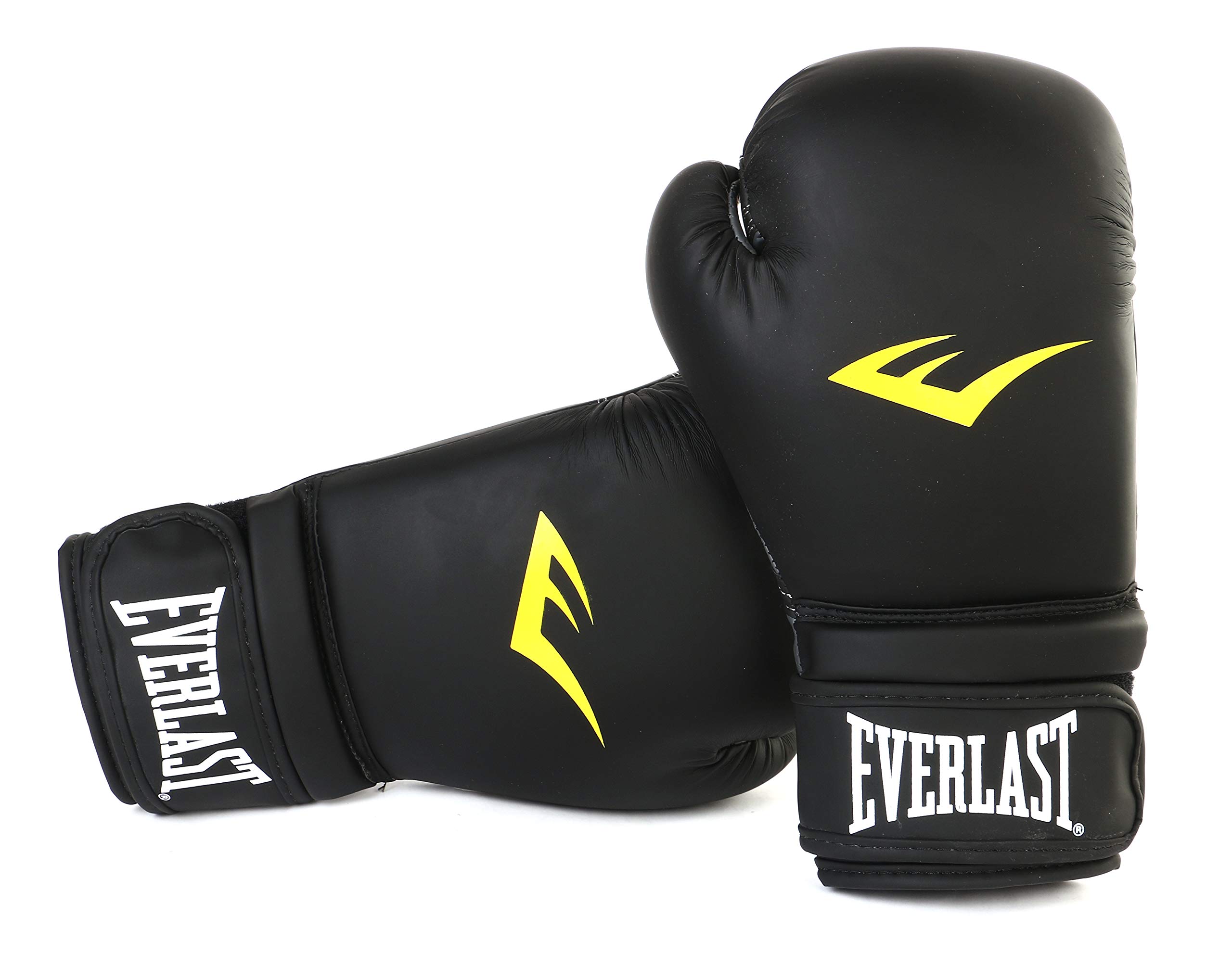 Everlast Matt Boxing Gloves with Injection Moulder.