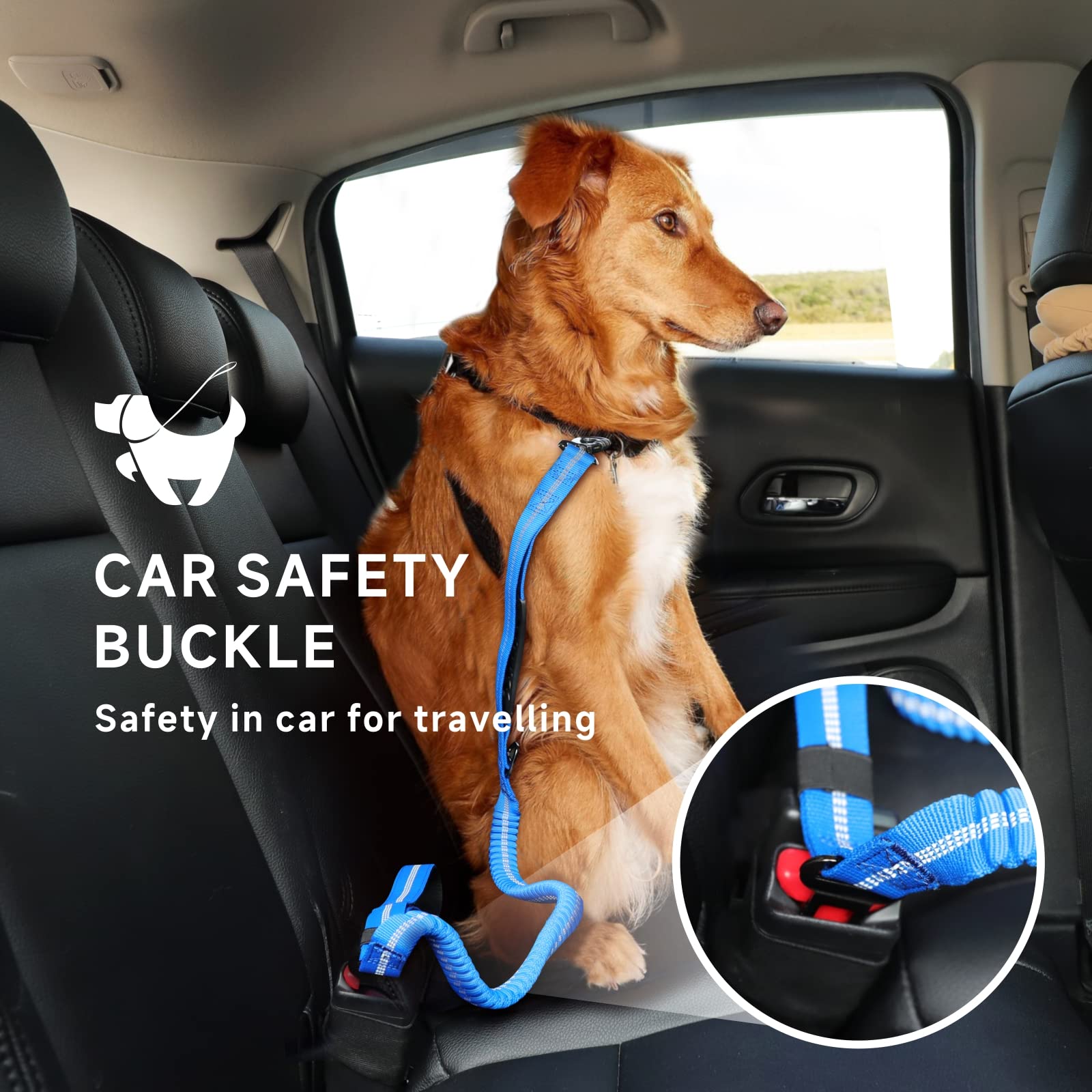 Elastische Bungee-Hundeleine Mit Stoßdämpfendem Zug – Bequem & Sicher Für Jeden Hund