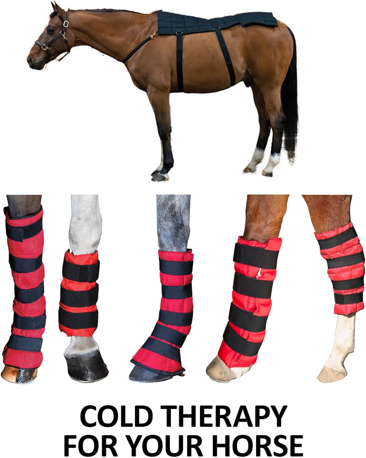 Schneiders Cooling Gel Wrap for Horses | Instant Cold Therapy | Fits Ponies, Horses, and Drafts | Durable 420-Denier Outer | Flexible and Comfortable Fit | Size 13" x 15"
