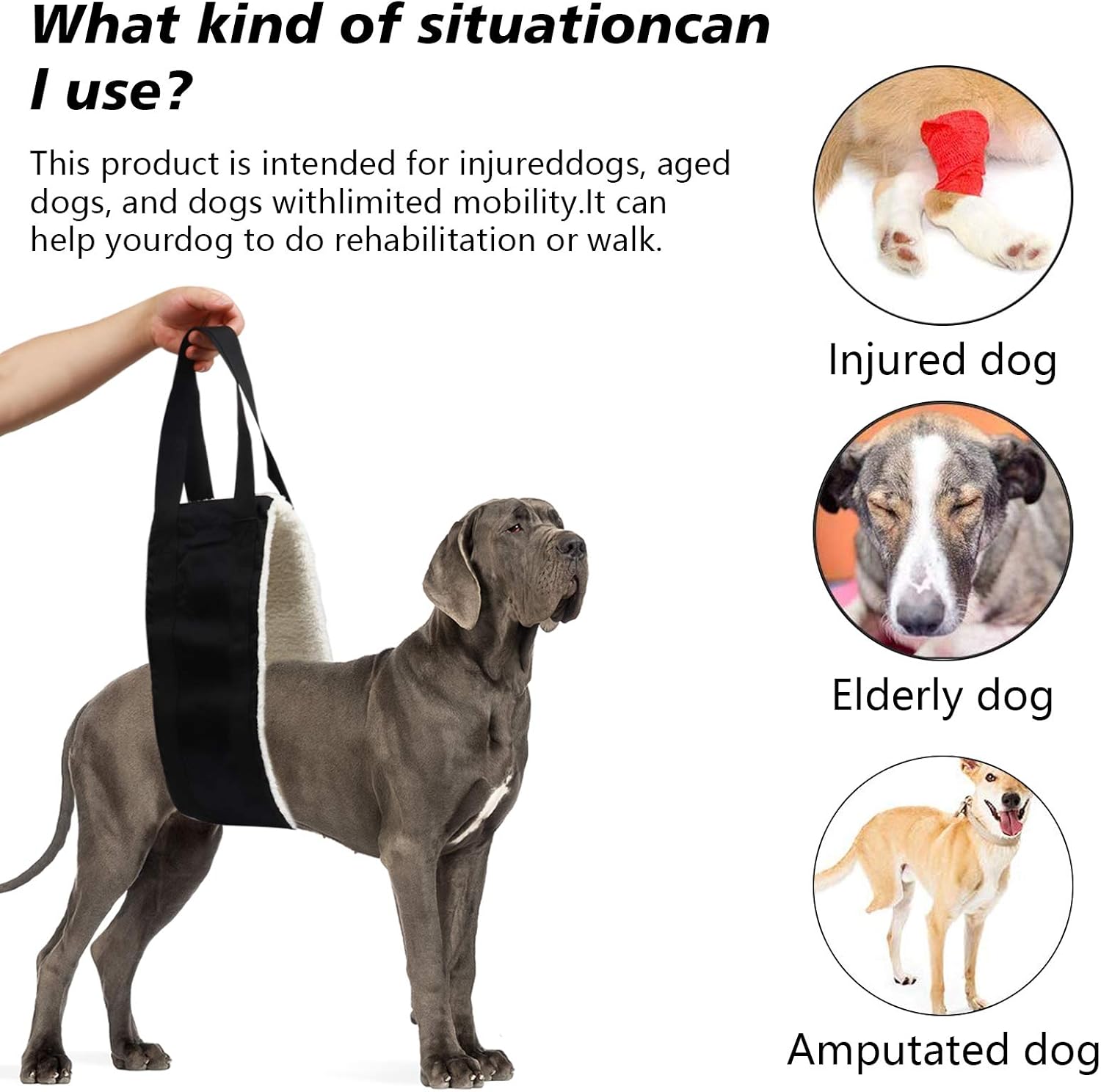 Elevate Your Pup: Review of the Heavy Duty Dog Sling for Large Breeds