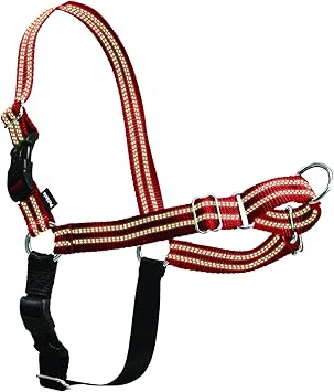 PetSafe Reflective Easy Walk Dog Harness, Small/Medium, Red/Black