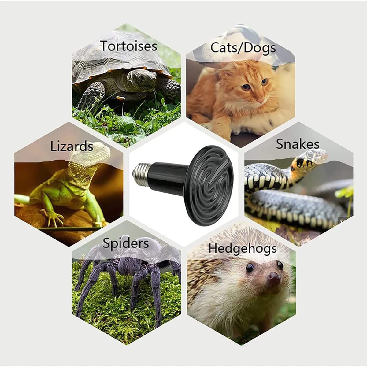 Lámpara Calefacción Reptil, Lámpara Calefacción 25-150W, con Pantalla Lámpara Y Tubo Hierro A Prueba Mordeduras, para Acuario Gallinas Y Lagartos,25W