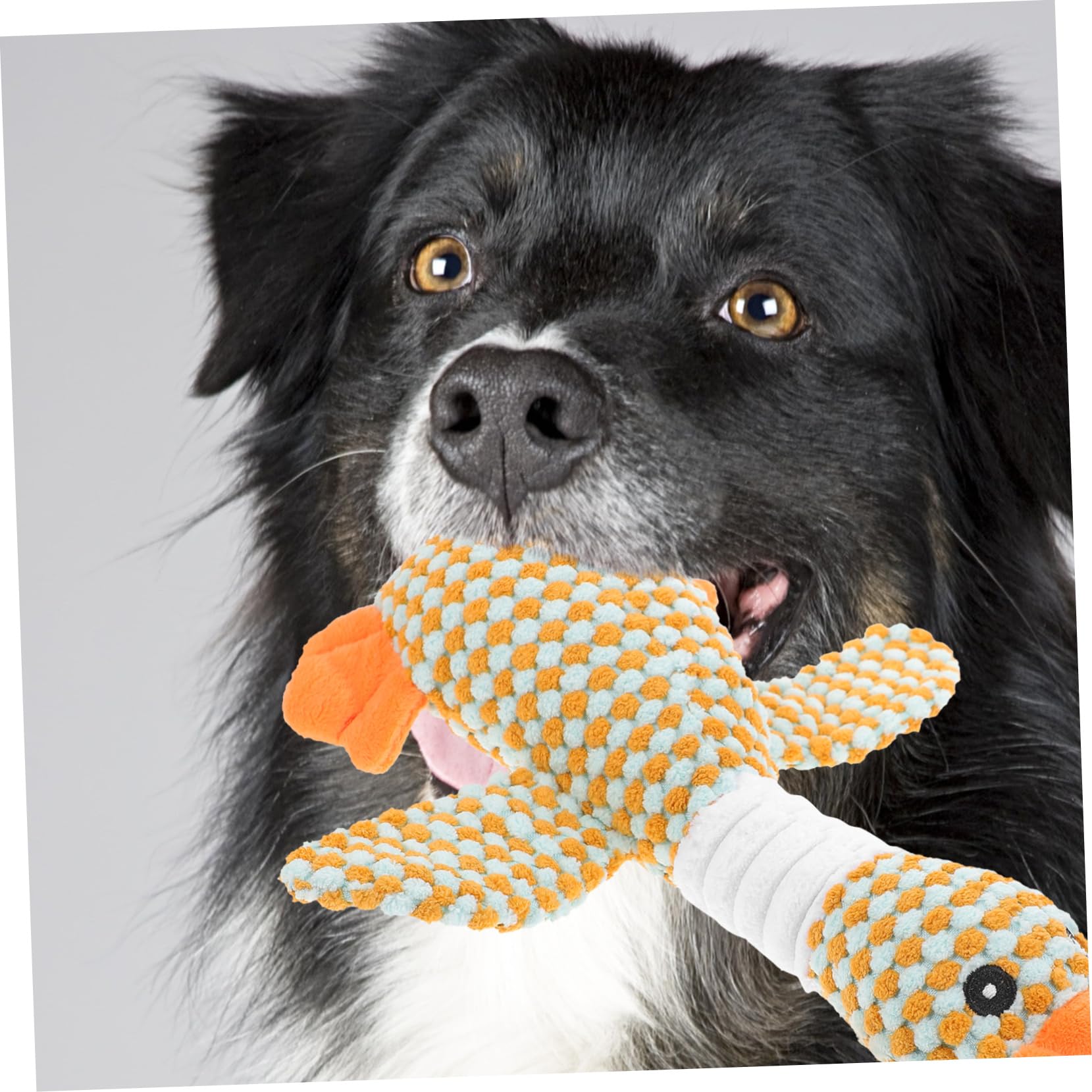 HANABASS 5stücke Squeaky Dog Toy Strapazierfähigem Plüsch Kauspielzeug Zahnpflege Für Große Hunde Für Aggressive Unterhaltsames Und Sicheres Spielzeug