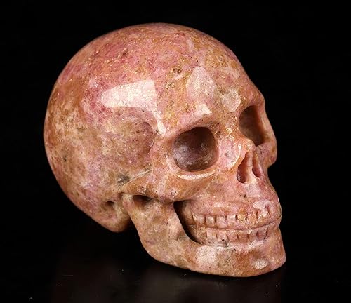 Vista 2 de Skullis Calavera de cristal de rodonita rosa y negra, escultura de arte fino de piedras preciosas talladas a mano, estatua de piedra curativa