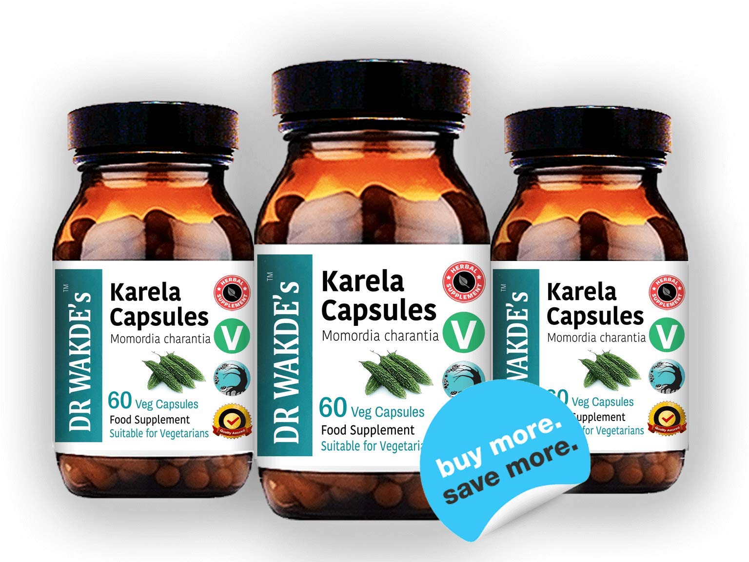 DR WAKDE's Organic Karela Capsules (Bitter Gourd or Bitter Melon) I 100% Natural Herbal Supplement I Veggie Capsules by DR WAKDE's